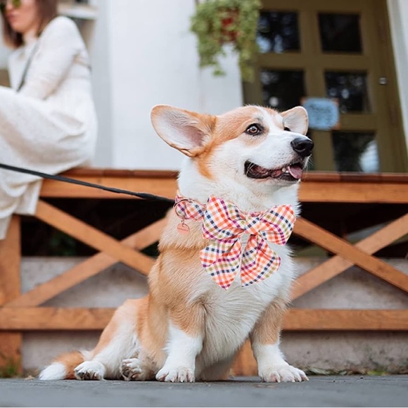 DOG WONG Gingham Rose Gold Dog Collar & Bowtie Adjustable Med Lg NWT - Picture 2 of 8